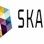 Logo SKALA